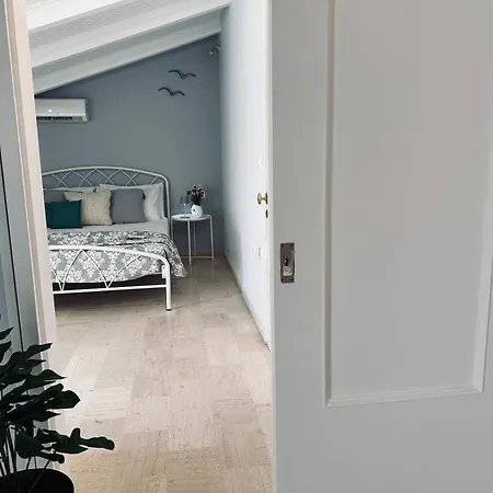 Dsi Loft Città di Zante